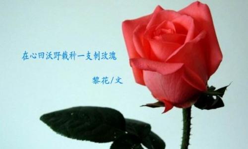 文章好段摘抄