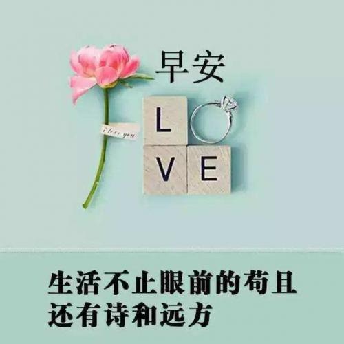积极阳光正能量的句子60句