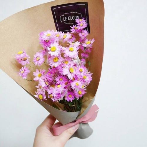 教师节感谢老师的话50句