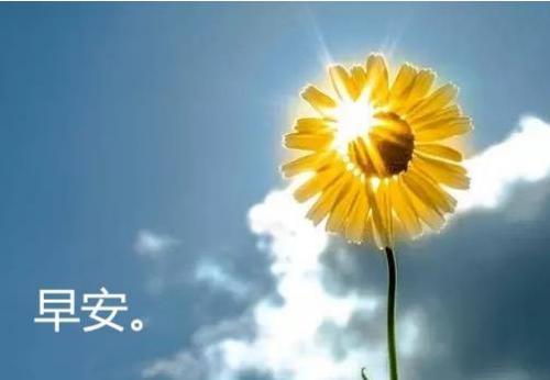 早安心语励志