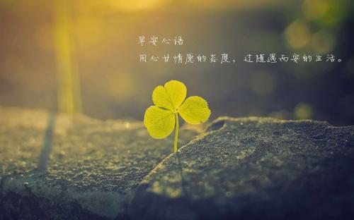 2018最新早安心语语录