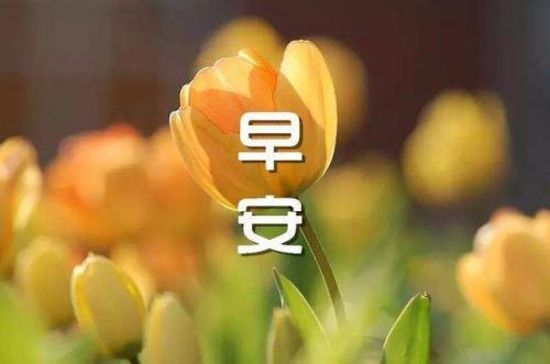 新的一天开始，精美早安语句锦集