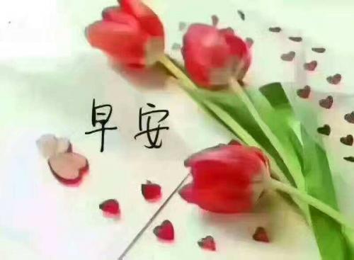 最温暖的早安心语