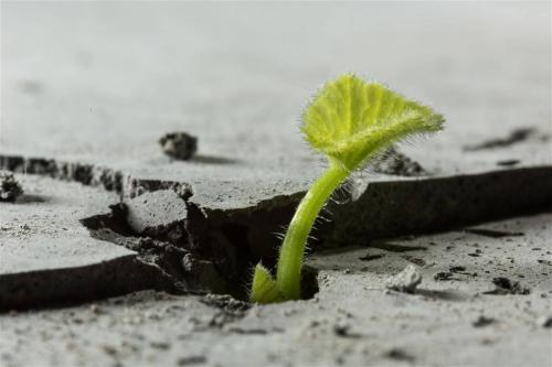 热爱生命的名言60句