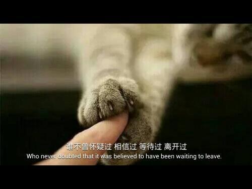 关于爱的名人名言50句