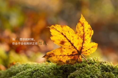 关于爱的名言大全