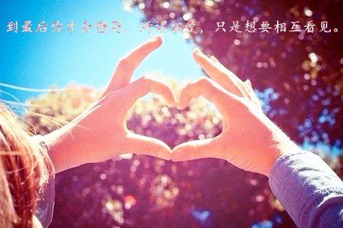 深情表白的经典段子