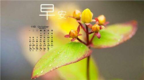 积极向上的名人名言