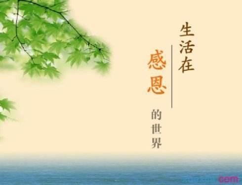 感恩的名言集锦