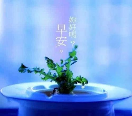 早晚的温馨问候语