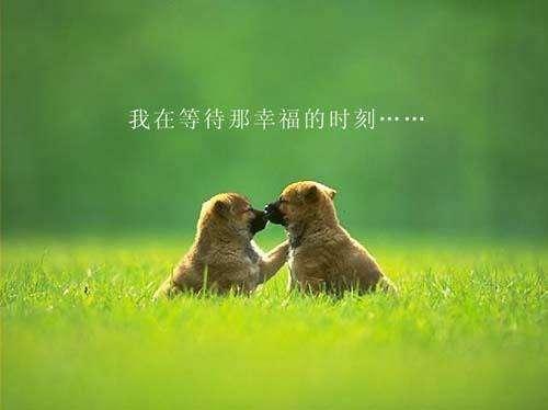 励志句子唯美简短