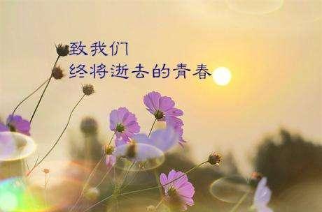 怀念青春伤感句子说说心情