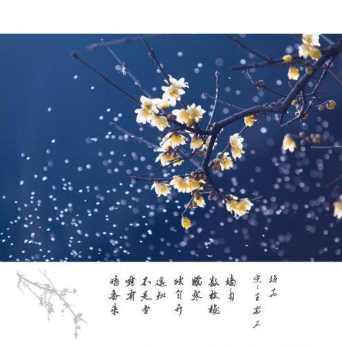 赞美冬天的诗句