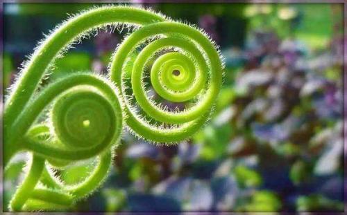写给自己的话，霸气十足50句