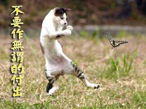 超级幽默搞笑短信