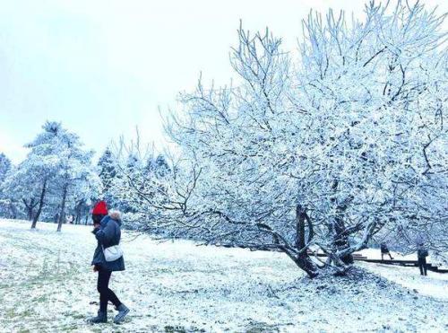 描写雪景的句子大全