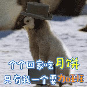 幽默搞笑短句精选