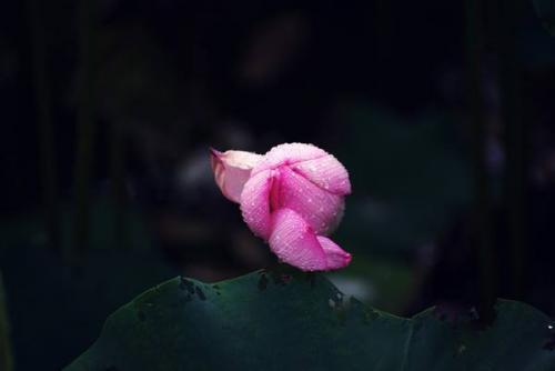 2018最伤情的句子