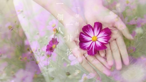 2018最伤情的句子