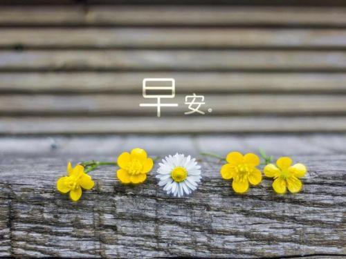 李白铁杵磨针的故事