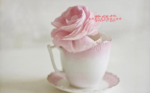 祝福赞美<a href=http://www.buer123.com/zt/129.html target=_blank class=infotextkey>老师</a>的句子