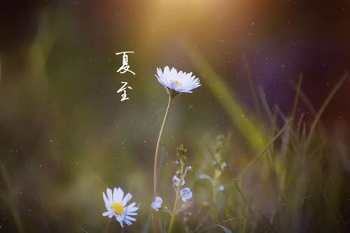八个字的唯美句子大全