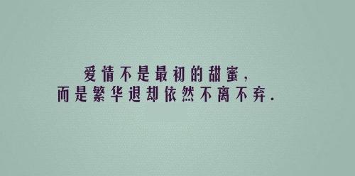 唯美感人的句子