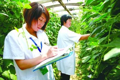 最热门质量标语大全