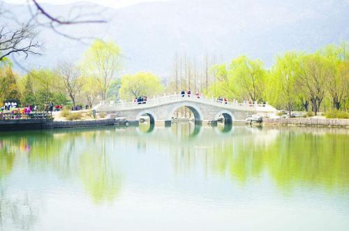 适合发朋友圈的春天精美句子，春光明媚，百花争艳，春天是如此鲜明