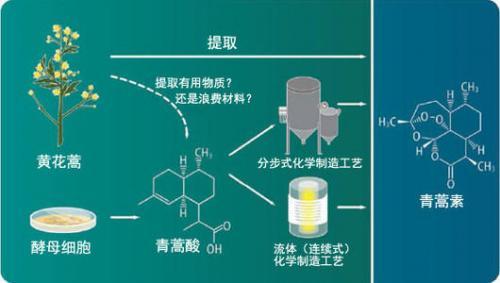 青蒿素与中医无关吗