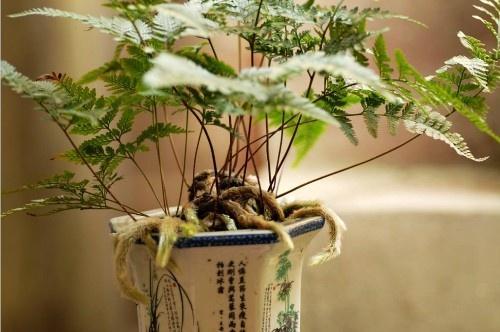 细节决定成败的名人事例三则