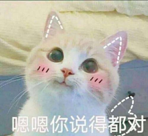 逗比小萌句，爆笑有趣
