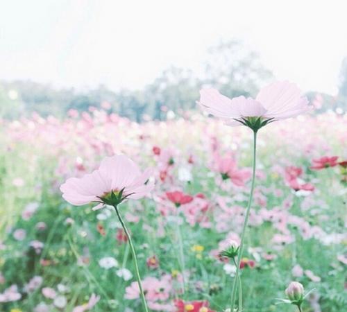 气质简单干净的微信签名大全