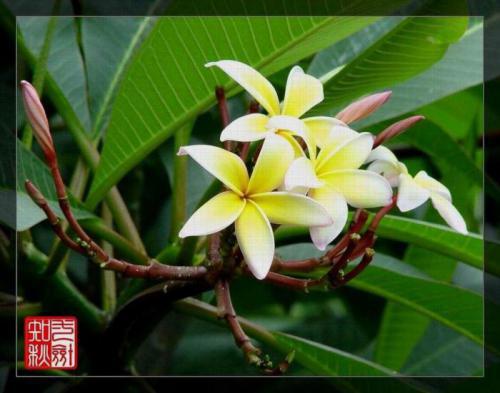 不为外物所牵挂