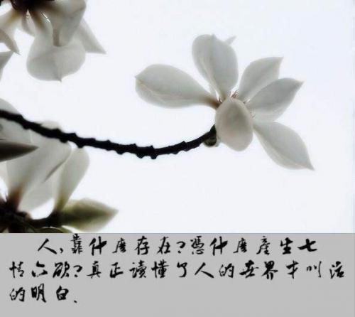 鸟笼的启示