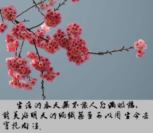 人要有一颗善良的心