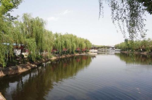 人生感悟什么是爱：同情也是一种爱