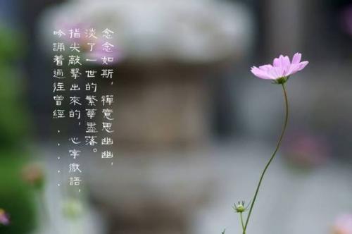 做人的道理 8条真理