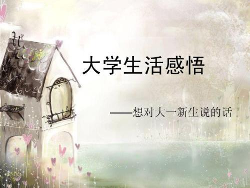  我的大学的感悟