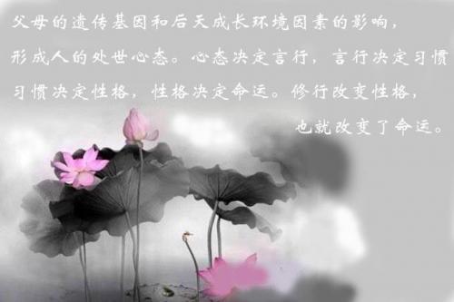 如何面对伤害：换个思路，伤害有可能是你头脑混沌时的一针清醒剂