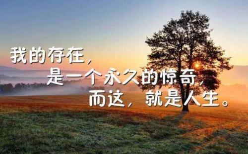 早会正能量故事分享