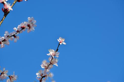 君子坦荡荡，小人常戚戚