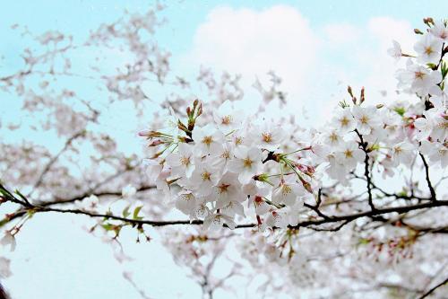 人贵自知——韩 文