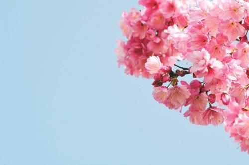 处境并非最重要 ——王 菲