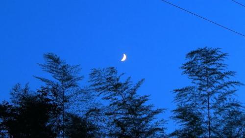 转念一想 ——汪国真