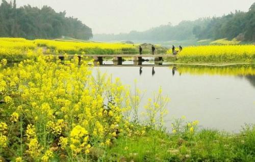 伴我同行 ——小 雨