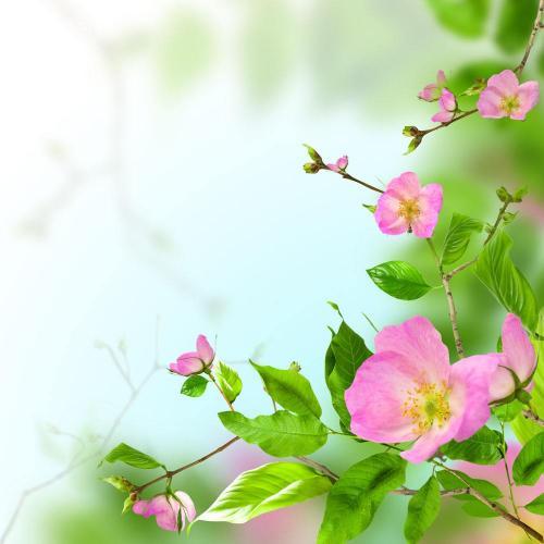会花钱：小处吝啬也是学问