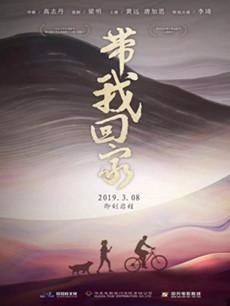 电影带我回家海报