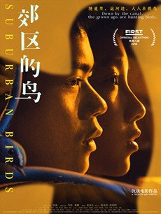郊区的鸟剧情介绍