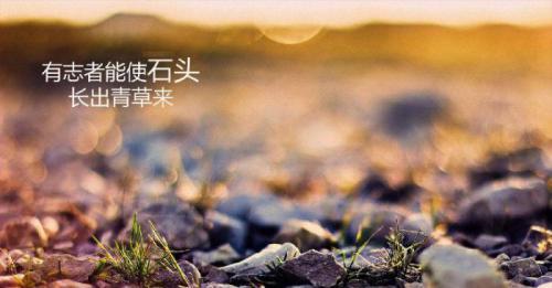 不要被逆境所屈服